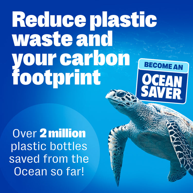 POLLOCKS TO PLASTICimage